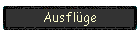 Ausflge