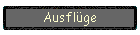 Ausflge